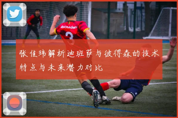 张佳玮解析迪班萨与彼得森的技术特点与未来潜力对比